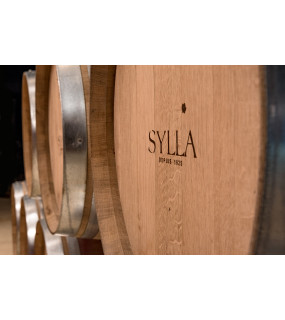 BALADE A VELO AVEC ACCOMPAGNATEUR DANS LE VIGNOBLE SYLLA