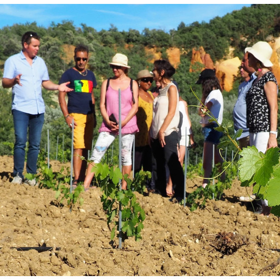 BALADE A VELO AVEC ACCOMPAGNATEUR DANS LE VIGNOBLE SYLLA