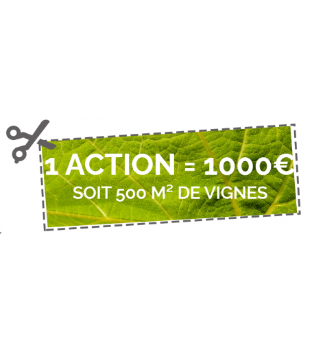 1 Action de 500 m² de vignes