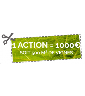 1 part de 500m² de vignes