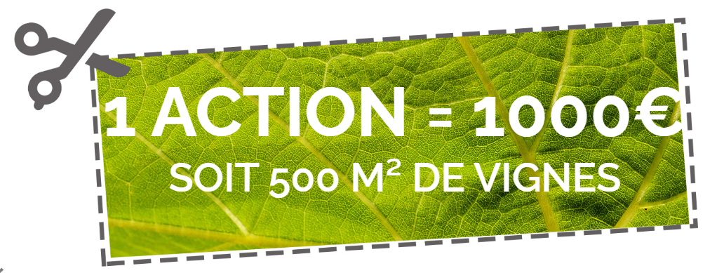 1 part de 500m² de vignes 1 part de 500m² de vignes
