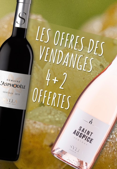 Nos vins rouges du moment