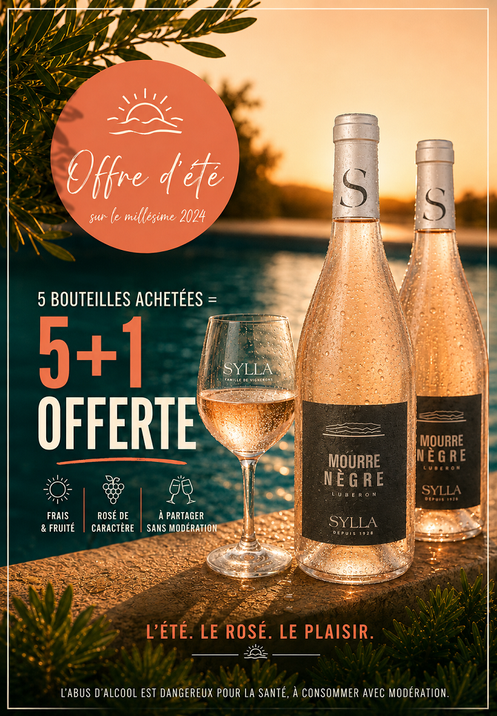 Offre 4+2 Saint Auspice rosé